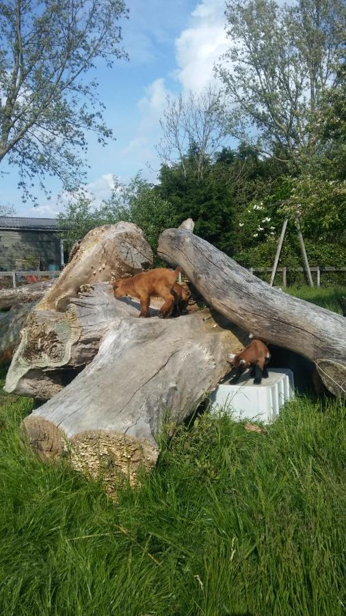 Boerenskuur De Bedstee Groen Assendelft Exterior foto